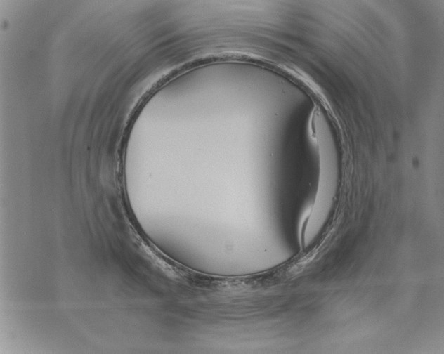 X0000073900799200609082146