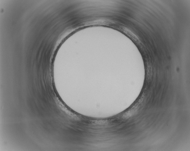 X0000073900800200609082146