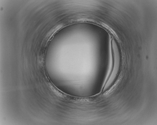 X0000073900801200609082146