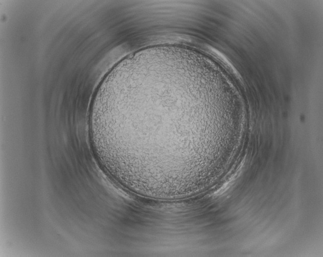 X0000073900802200609082146