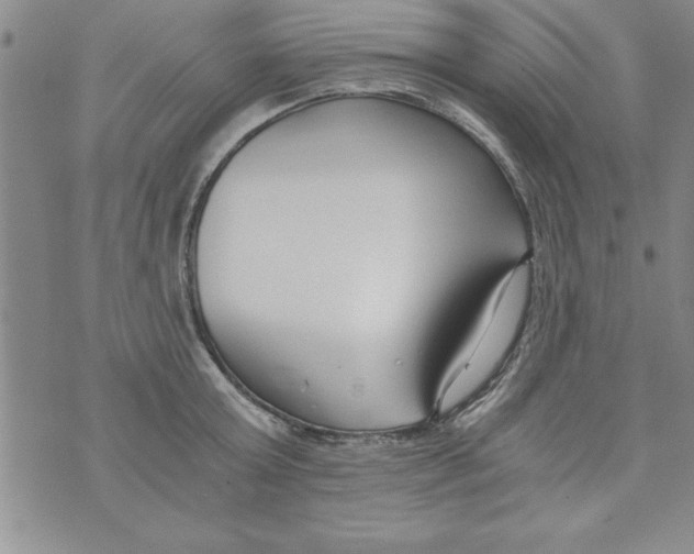 X0000073900803200609082146