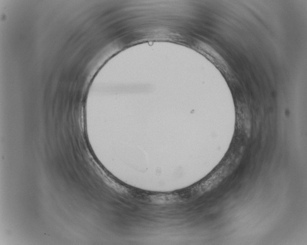 X0000073900804200609082146