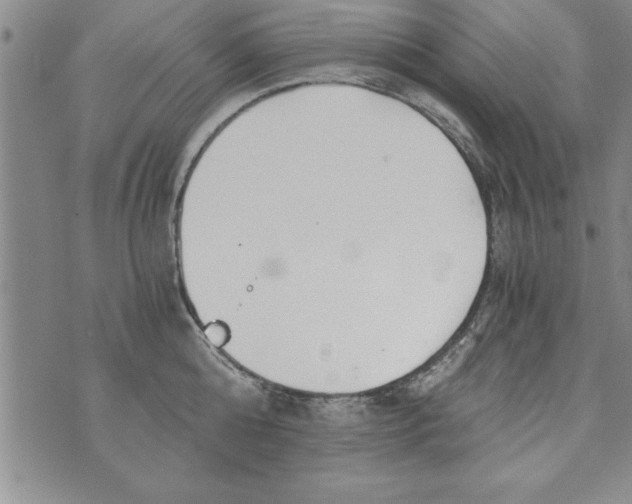 X0000073900808200609082146