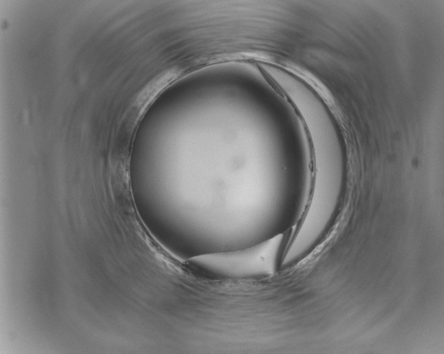 X0000073900809200609082146