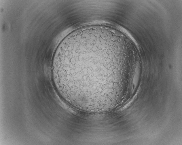 X0000073900810200609082146