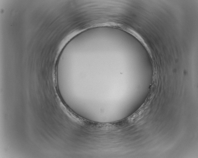 X0000073900811200609082146