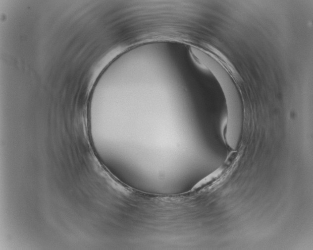 X0000073900812200609082146