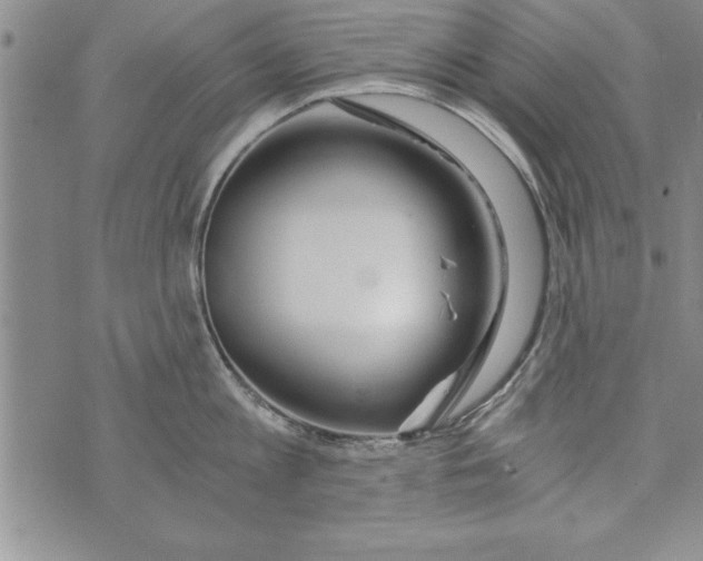 X0000073900813200609082146