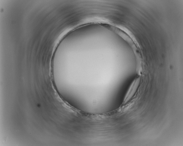 X0000073900815200609082146