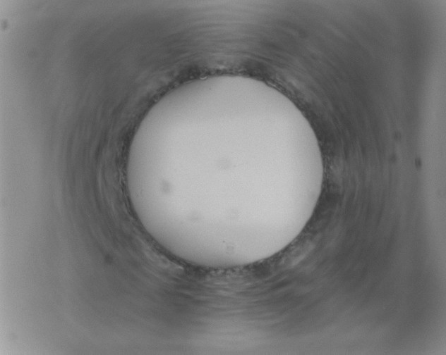 X0000073900817200609082145