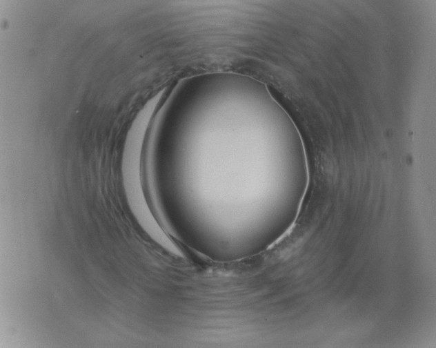 X0000073900818200609082145