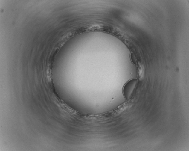 X0000073900819200609082145