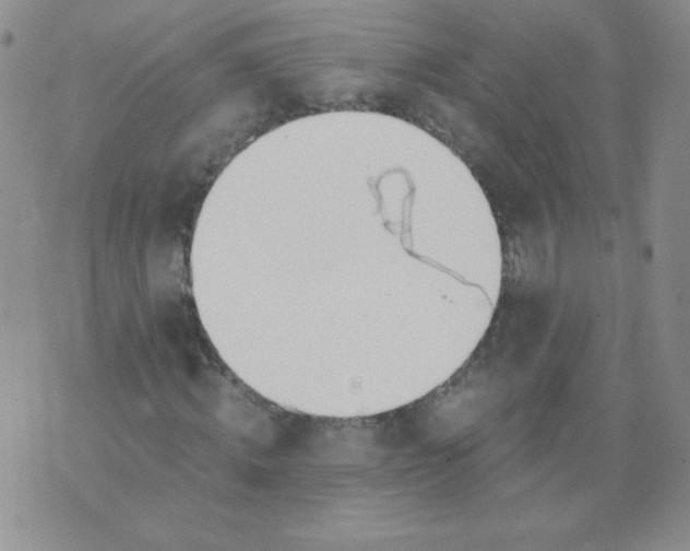 X0000073900820200609082145