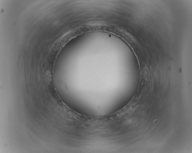 X0000073900821200609082145