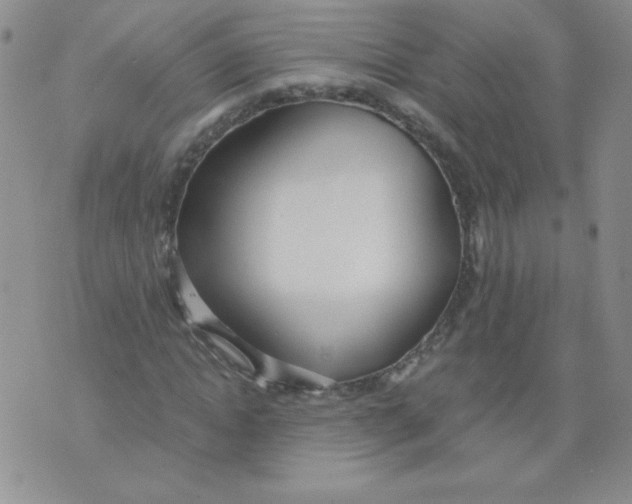 X0000073900822200609082145