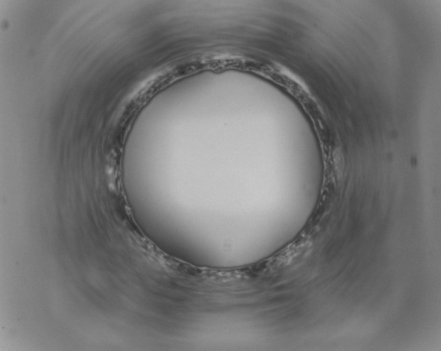 X0000073900823200609082145