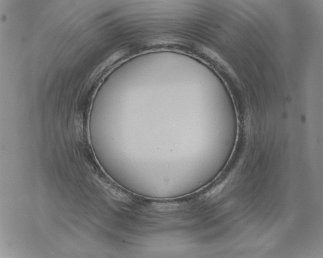 X0000073900825200609082145