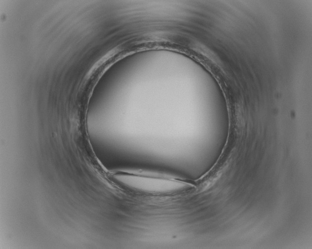 X0000073900826200609082145