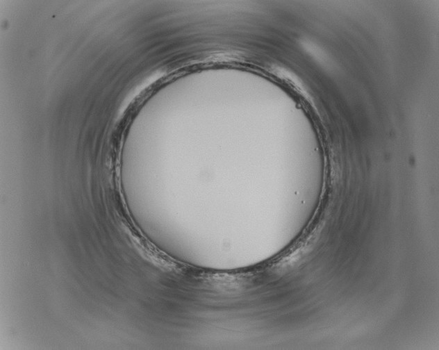 X0000073900827200609082145