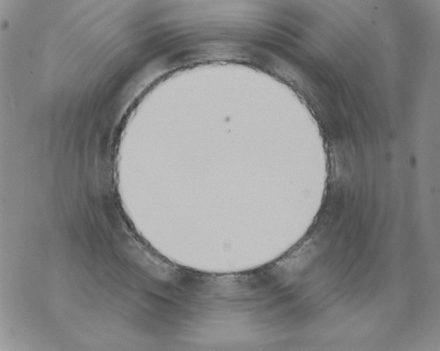 X0000073900828200609082145