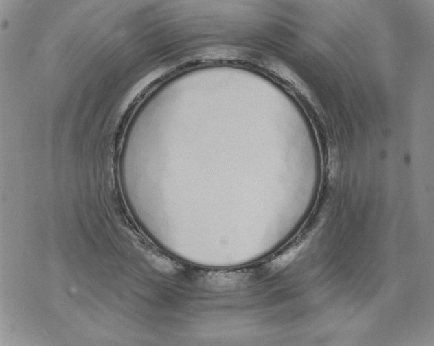 X0000073900829200609082145