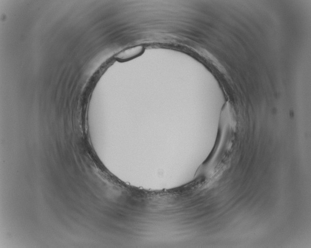 X0000073900830200609082145