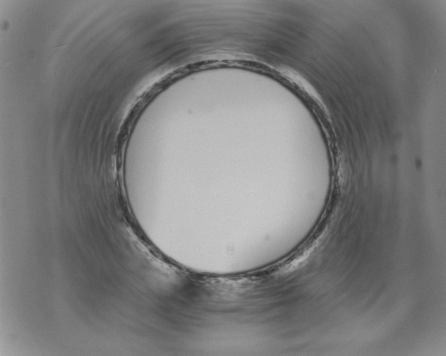 X0000073900831200609082145