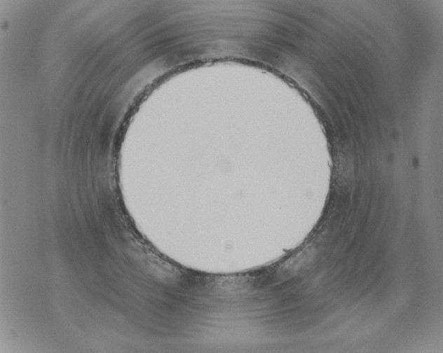 X0000073900832200609082145