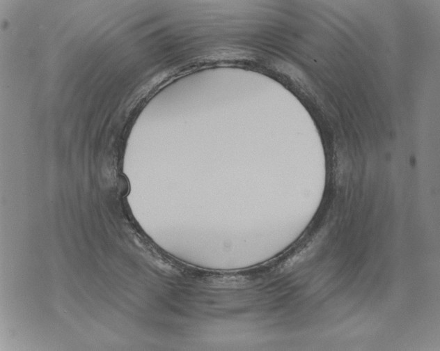 X0000073900833200609082145