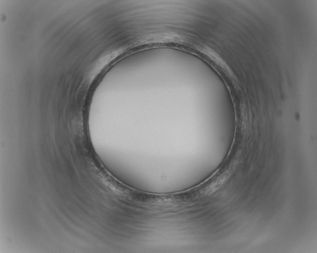 X0000073900834200609082146