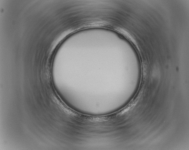 X0000073900835200609082146