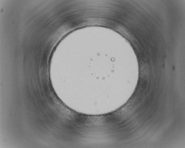 X0000073900836200609082146