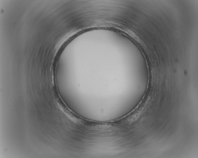 X0000073900838200609082146