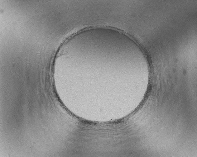 X0000073900840200609082146