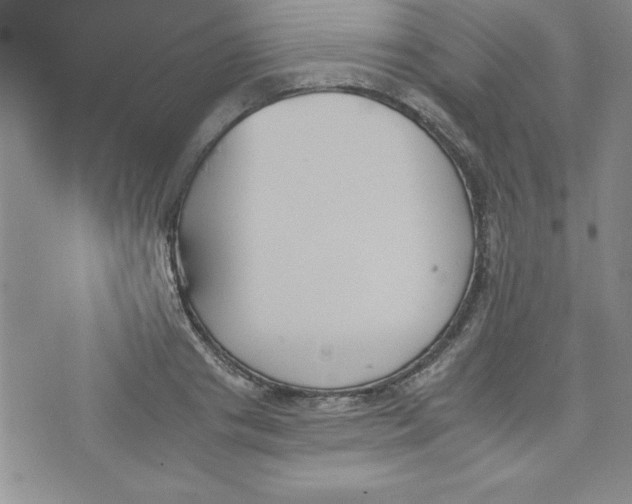 X0000073900841200609082146