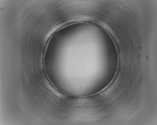 X0000073900842200609082146