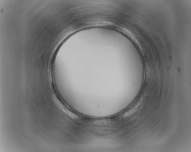 X0000073900843200609082146