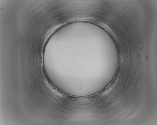 X0000073900844200609082146