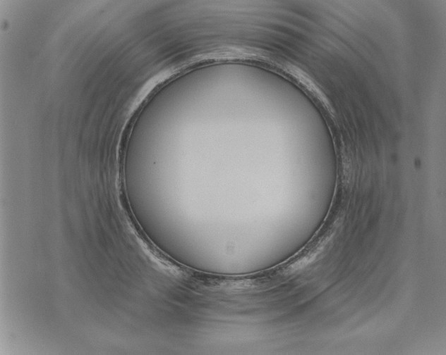 X0000073900845200609082146