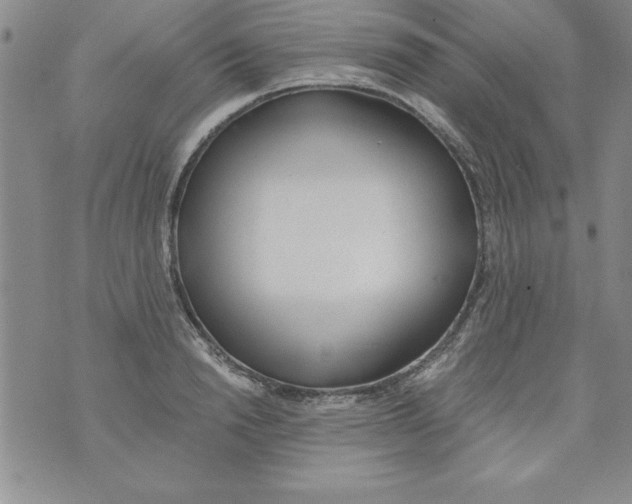 X0000073900846200609082146