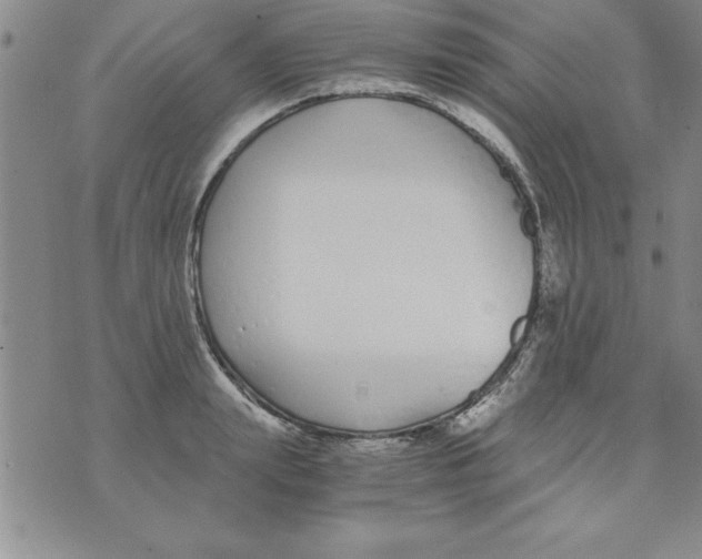 X0000073900847200609082146