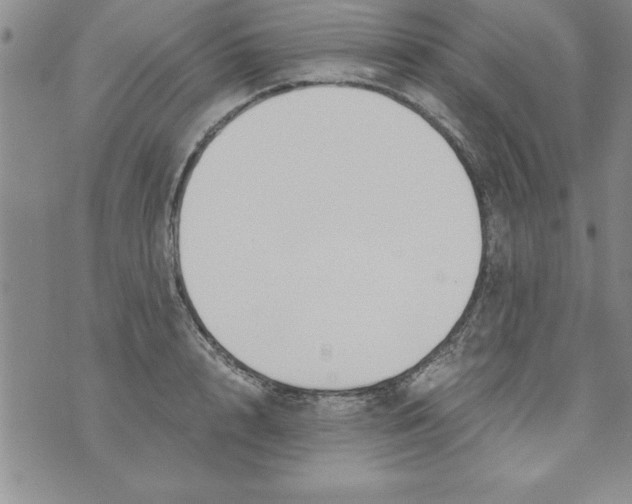 X0000073900848200609082146