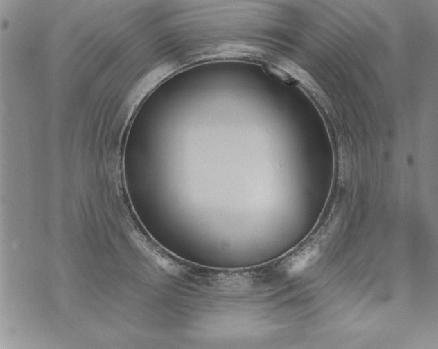 X0000073900850200609082146