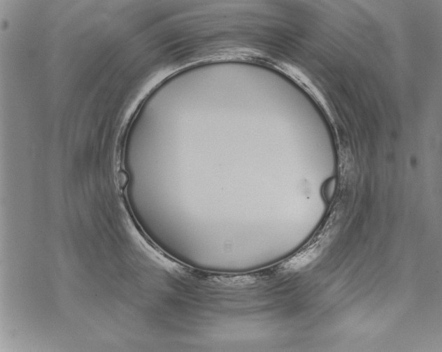 X0000073900851200609082146