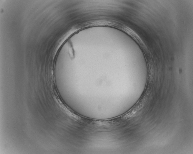 X0000073900852200609082146