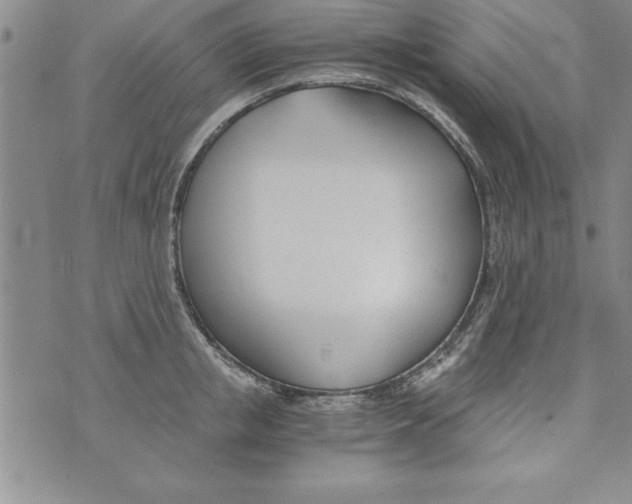 X0000073900853200609082146