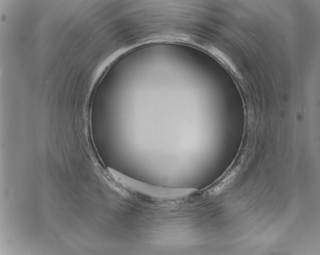 X0000073900854200609082146