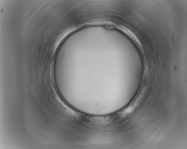 X0000073900855200609082146