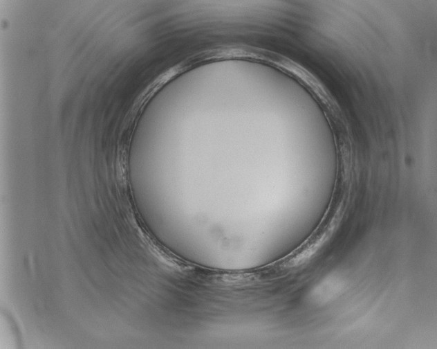 X0000073900857200609082146