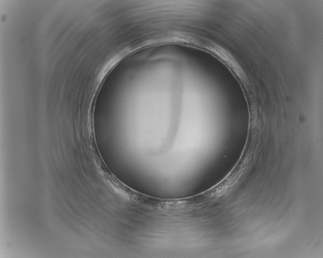 X0000073900858200609082146